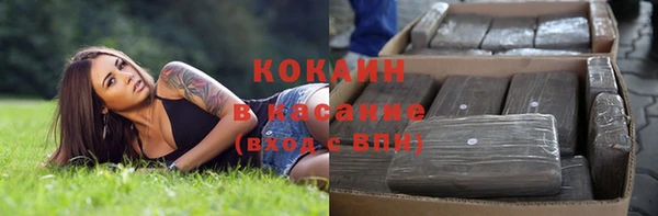 молекула духа Вяземский