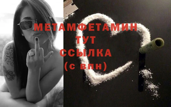 молекула духа Вяземский