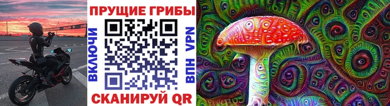 ссылка на мегу tor  Дрезна  Псилоцибиновые грибы Psilocybine cubensis 